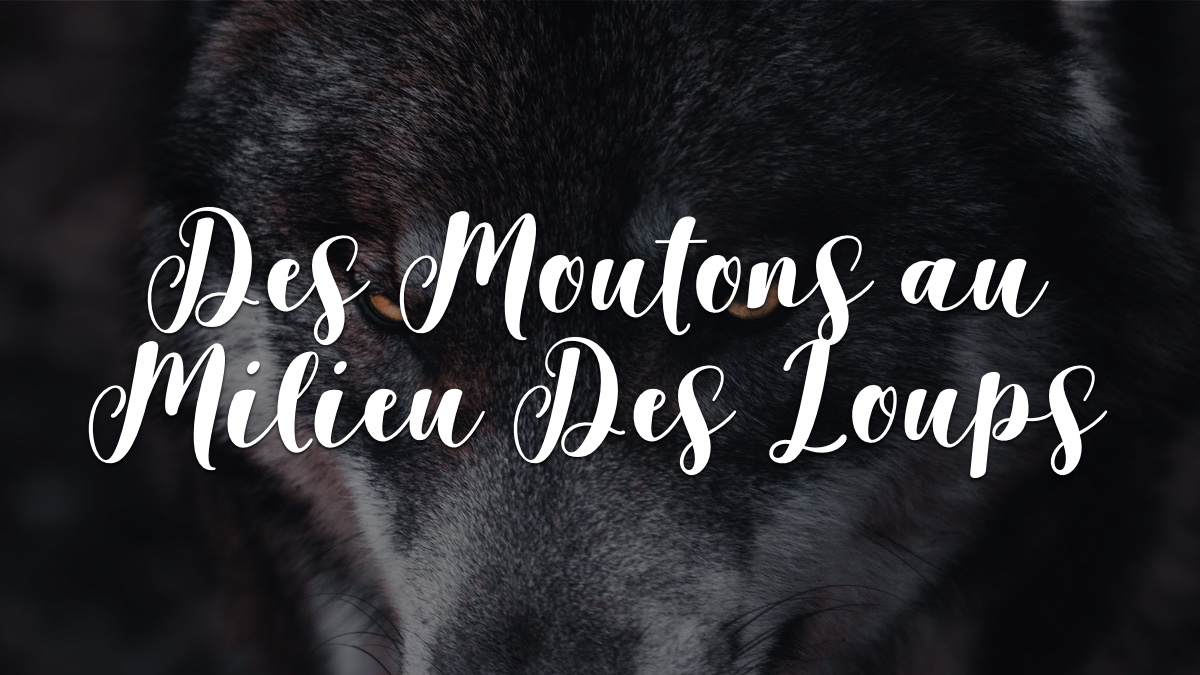 Devocionales Justo a Tiempo - DES MOUTONS AU MILIEU DES LOUPS