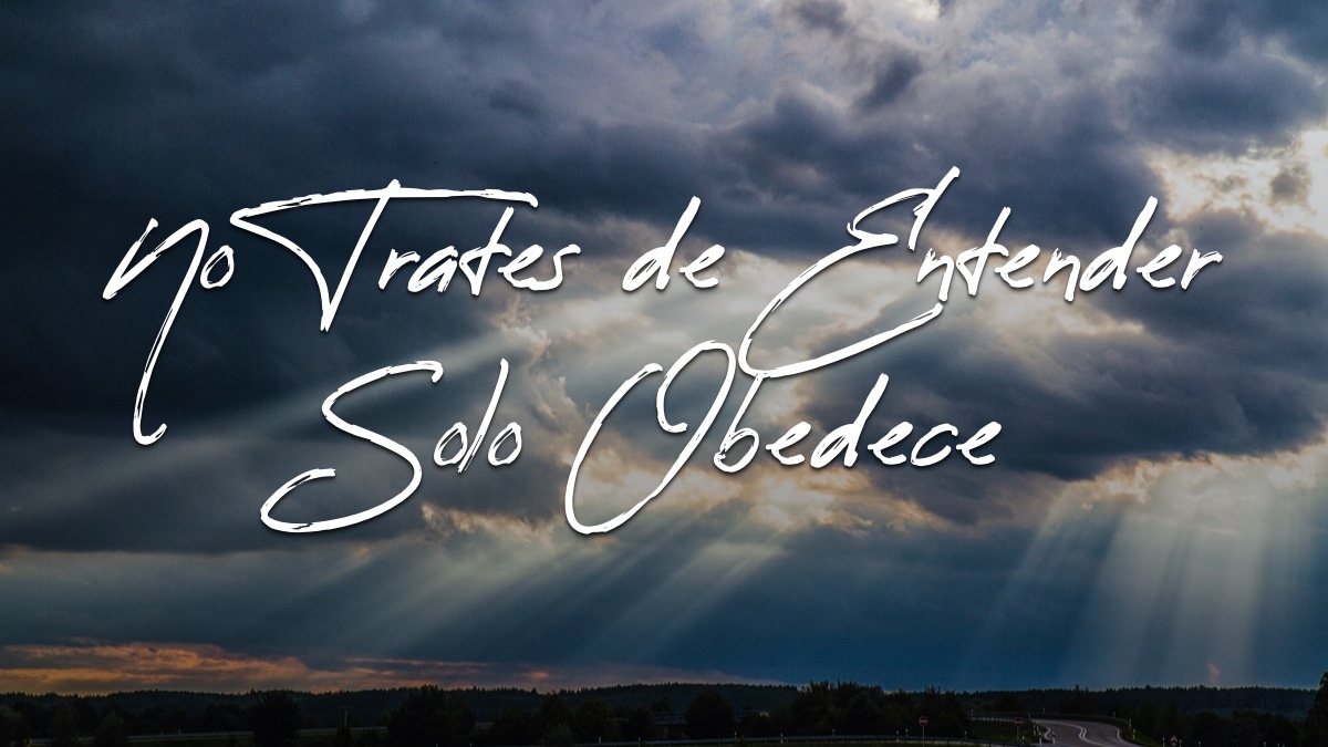 NO TRATES DE ENTENDER SOLO OBEDECE – Devocionales Justo a Tiempo