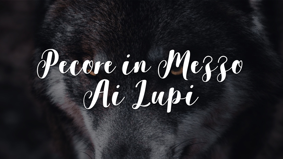 Io Vi Mando Come Pecore In Mezzo Ai Lupi Devocionales Justo a Tiempo - PECORE IN MEZZO AI LUPI